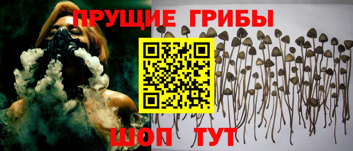 Галлюциногенные грибы мицелий Конаково
