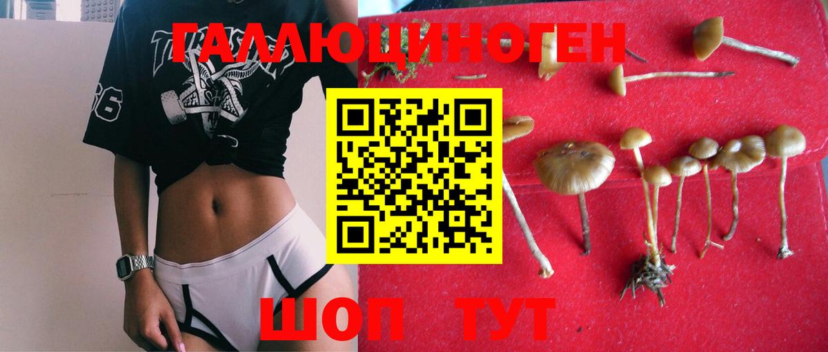 Меф МЯУ МЯУ кристаллы  Амфетамин кристаллы  Вход с VPN  Конаково  Гашиш  Канабис  Cocaine 