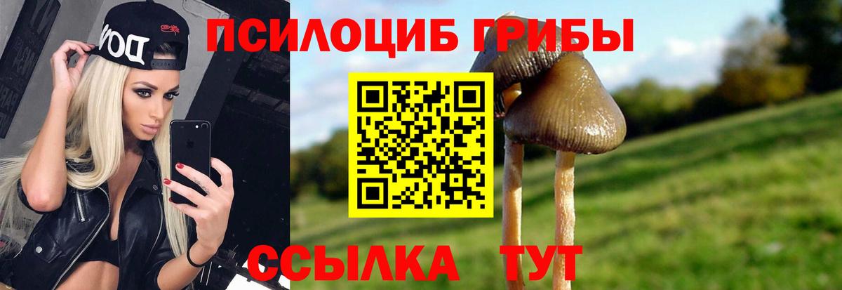 Конаково  Псилоцибиновые грибы мухоморы  Вход с VPN 